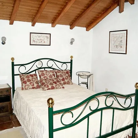 Welcoming House In With Unfenced Garden