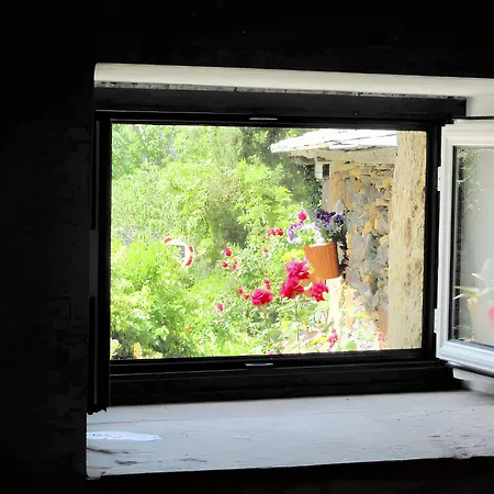 Welcoming House In With Unfenced Garden Semesterbostad *