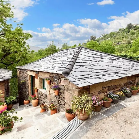 Welcoming House In With Unfenced Garden *