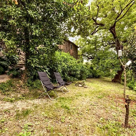 Welcoming House In With Unfenced Garden * Amarante