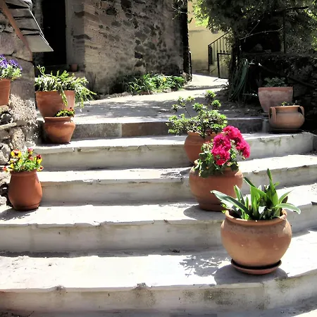 Welcoming House In With Unfenced Garden