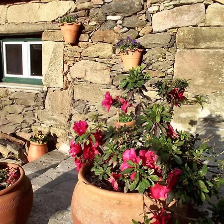 Semesterbostad Welcoming House In With Unfenced Garden
