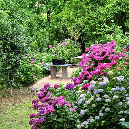 Semesterbostad Welcoming House In With Unfenced Garden Amarante